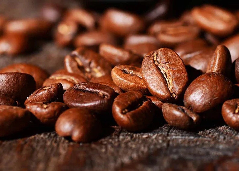 Arabica Coffee starter plant **(ALL plants require you to purchase ANY 2 plants!)**