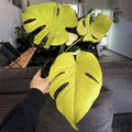 Monstera Deliciosa Lemon Lime ROOTED rare 4” pot **(ALL plants require you to purchase ANY 2 plants!)**